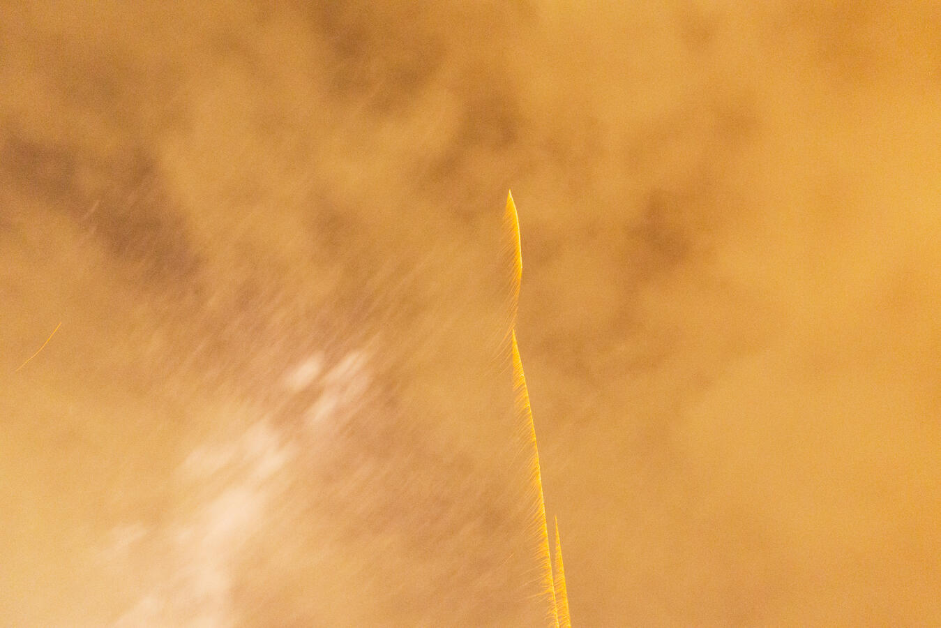 1808 1808